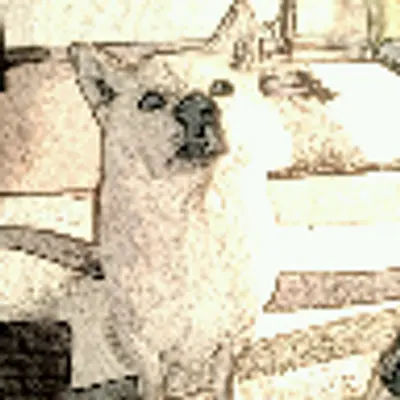 本ブログについて